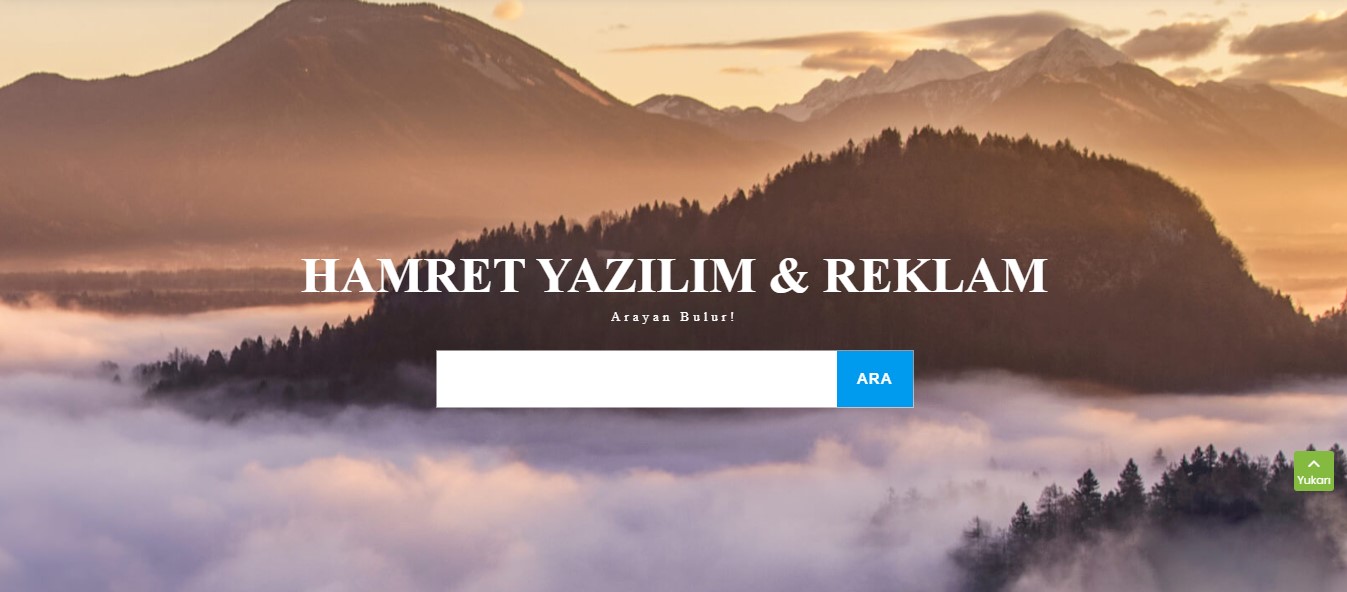 manisa veb tasarım