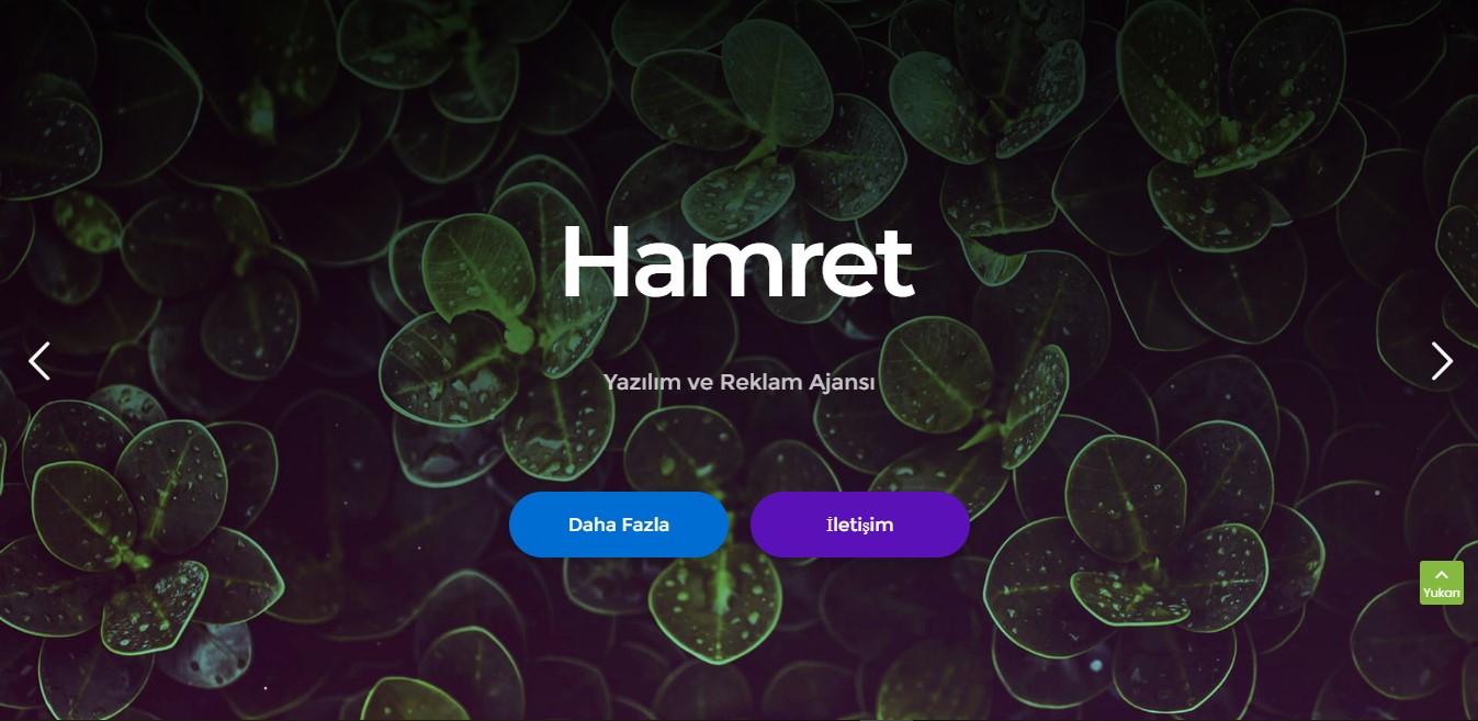 manisa web tasarım