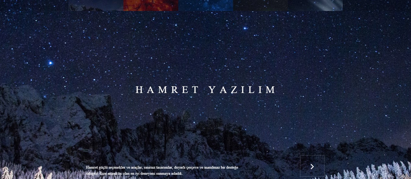 manisa web tasarım şirketleri