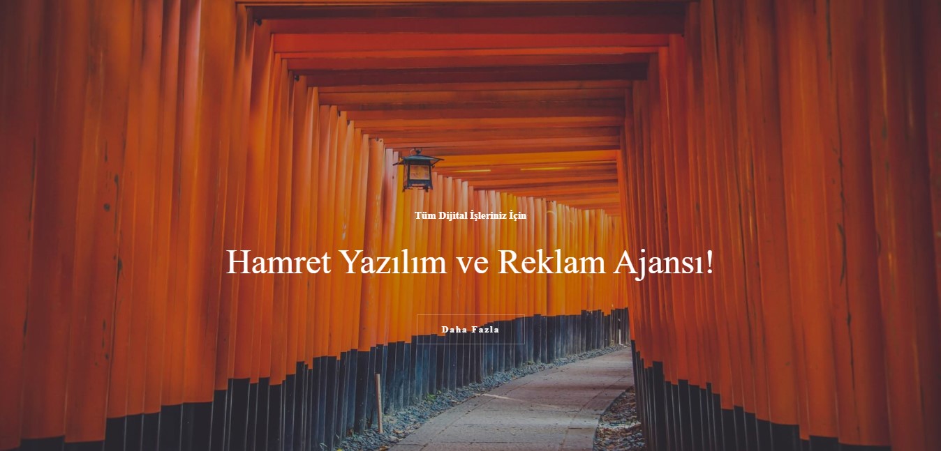 web tasarım manisa